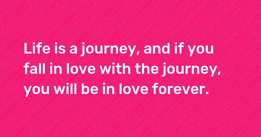 Life is a journey, and if you fall in love with the journey, you will be in love forever.