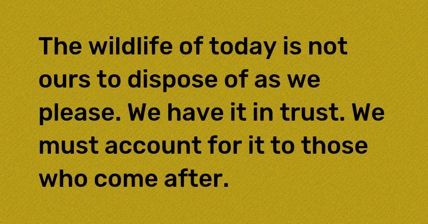 The wildlife of today is not ours to dispose of as we please. We have it in trust. We must account for it to those who come after.