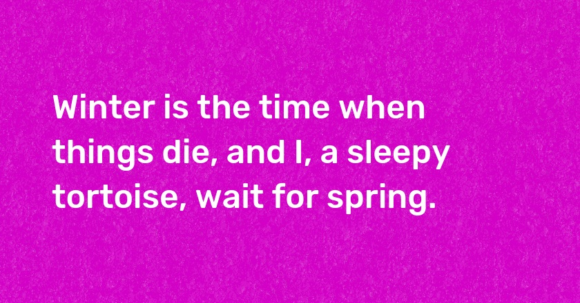 Winter is the time when things die, and I, a sleepy tortoise, wait for spring.