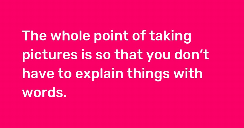 The whole point of taking pictures is so that you don’t have to explain things with words.