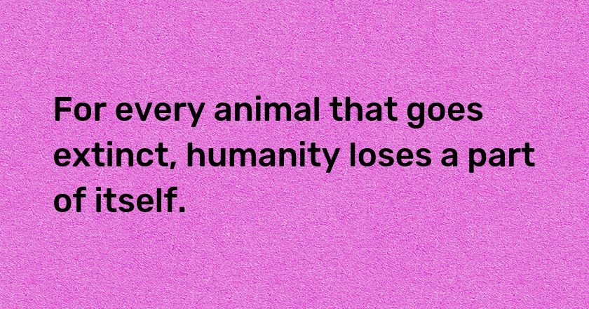 For every animal that goes extinct, humanity loses a part of itself.