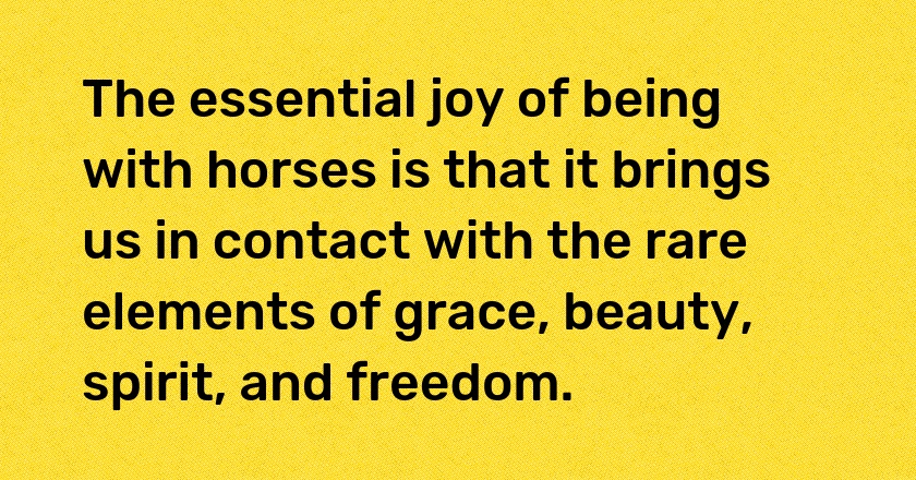 The essential joy of being with horses is that it brings us in contact with the rare elements of grace, beauty, spirit, and freedom.