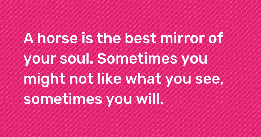 A horse is the best mirror of your soul. Sometimes you might not like what you see, sometimes you will.