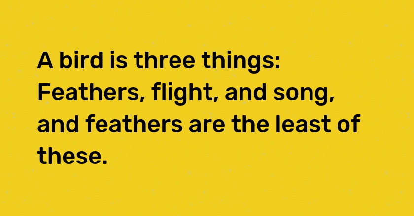 A bird is three things: Feathers, flight, and song, and feathers are the least of these.