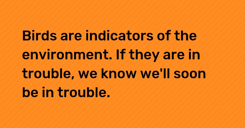 Birds are indicators of the environment. If they are in trouble, we know we'll soon be in trouble.