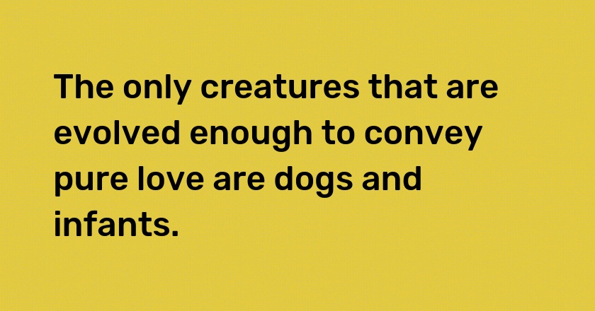 The only creatures that are evolved enough to convey pure love are dogs and infants.