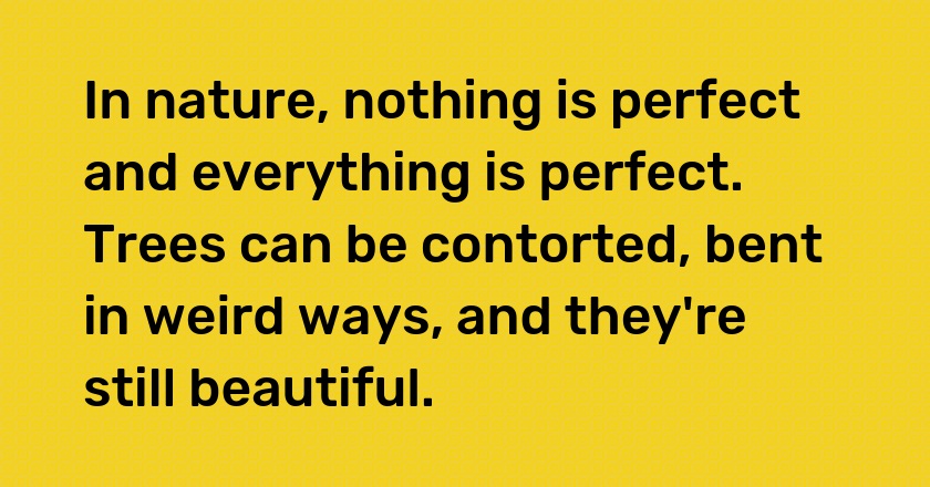 In nature, nothing is perfect and everything is perfect. Trees can be contorted, bent in weird ways, and they're still beautiful.