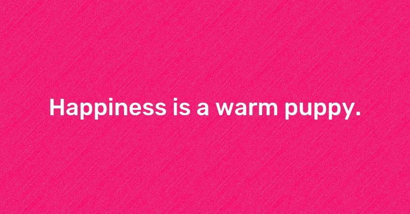 Happiness is a warm puppy.