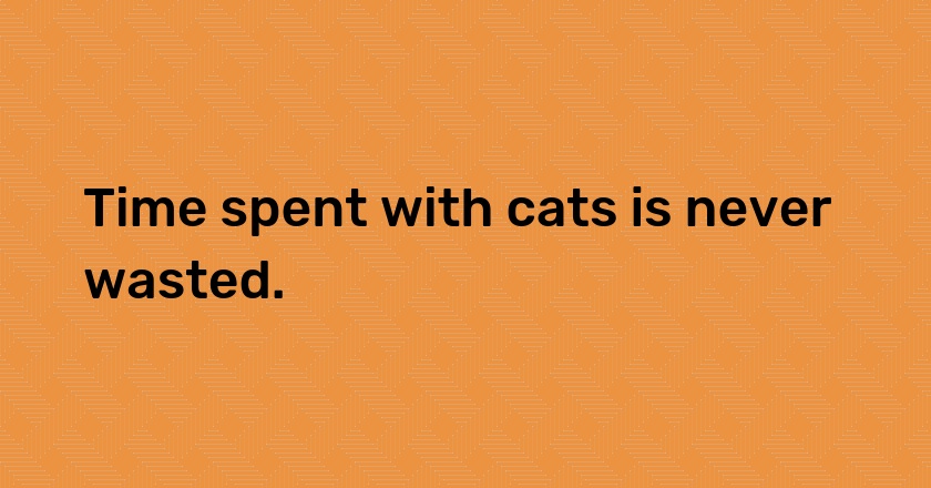 Time spent with cats is never wasted.