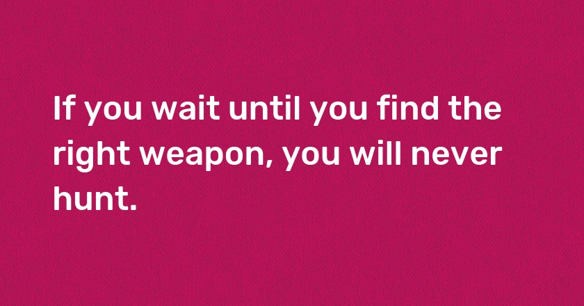 If you wait until you find the right weapon, you will never hunt.