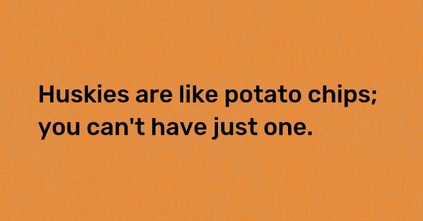 Huskies are like potato chips; you can't have just one.