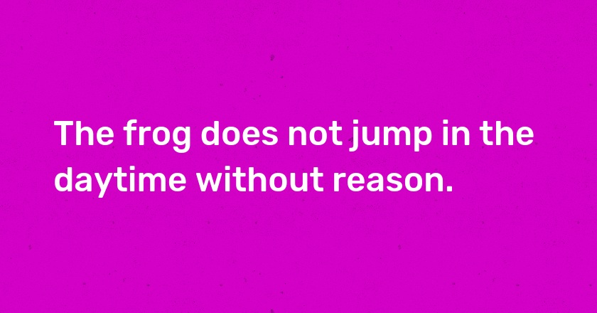 The frog does not jump in the daytime without reason.