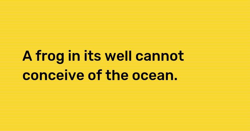 A frog in its well cannot conceive of the ocean.