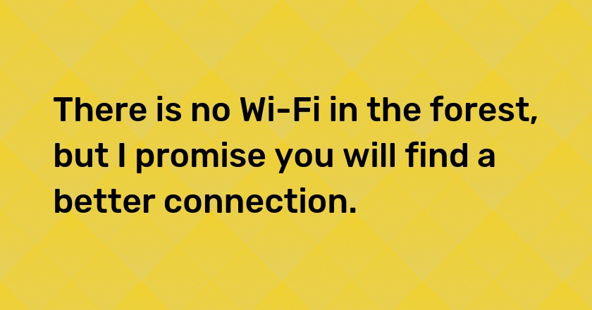 There is no Wi-Fi in the forest, but I promise you will find a better connection.