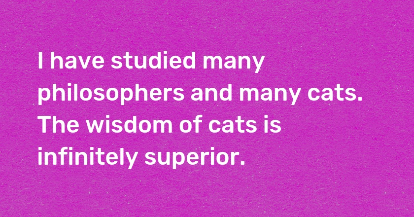 I have studied many philosophers and many cats. The wisdom of cats is infinitely superior.