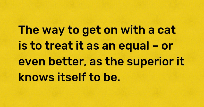 The way to get on with a cat is to treat it as an equal – or even better, as the superior it knows itself to be.