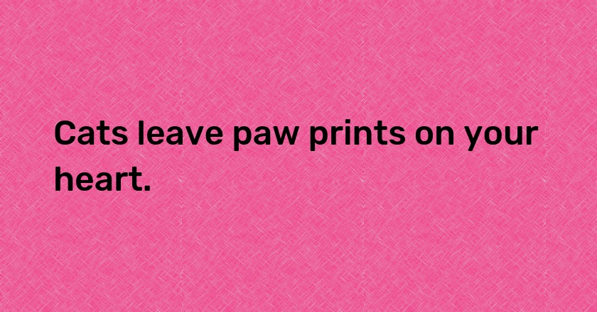 Cats leave paw prints on your heart.