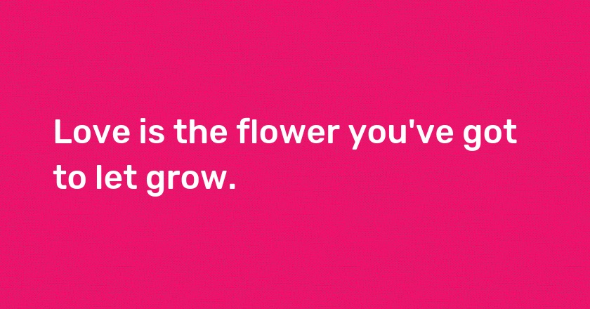 Love is the flower you've got to let grow.