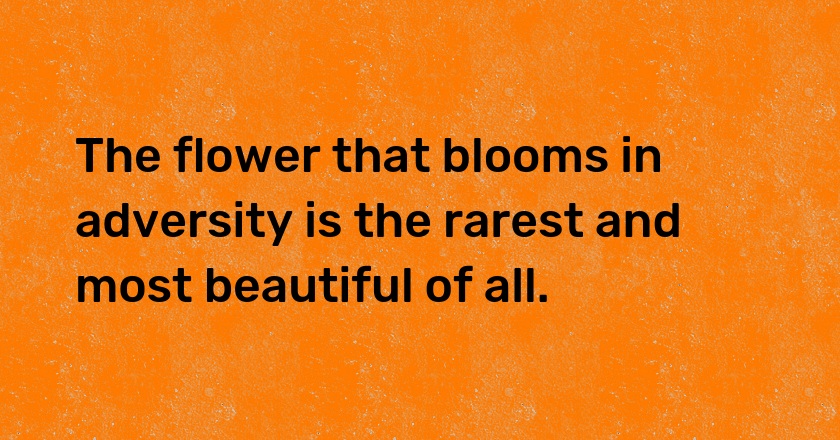 The flower that blooms in adversity is the rarest and most beautiful of all.