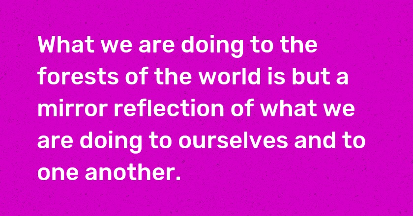 What we are doing to the forests of the world is but a mirror reflection of what we are doing to ourselves and to one another.