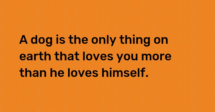 A dog is the only thing on earth that loves you more than he loves himself.