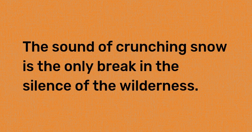 The sound of crunching snow is the only break in the silence of the wilderness.