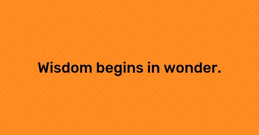 Wisdom begins in wonder.