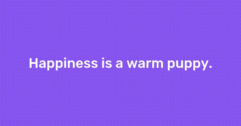 Happiness is a warm puppy.