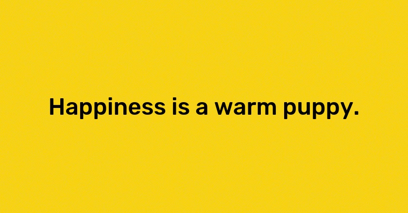 Happiness is a warm puppy.