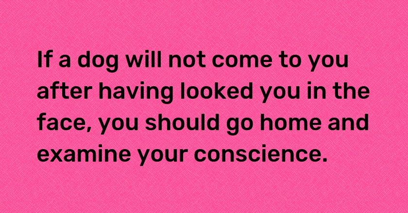 If a dog will not come to you after having looked you in the face, you should go home and examine your conscience.