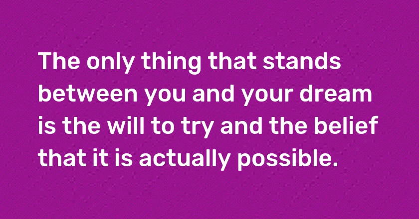 The only thing that stands between you and your dream is the will to try and the belief that it is actually possible.