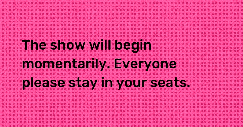 The show will begin momentarily. Everyone please stay in your seats.