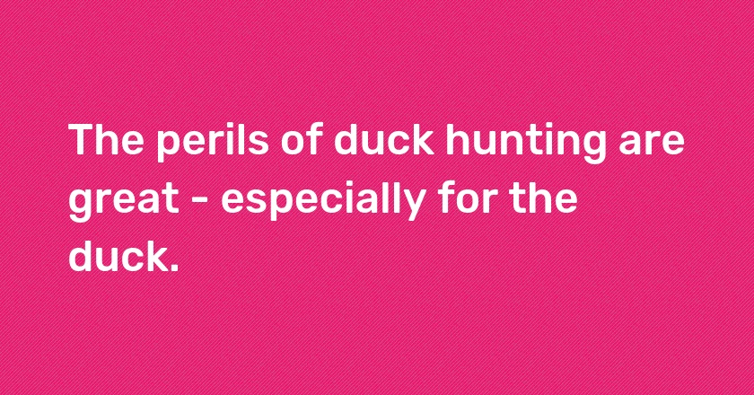 The perils of duck hunting are great - especially for the duck.