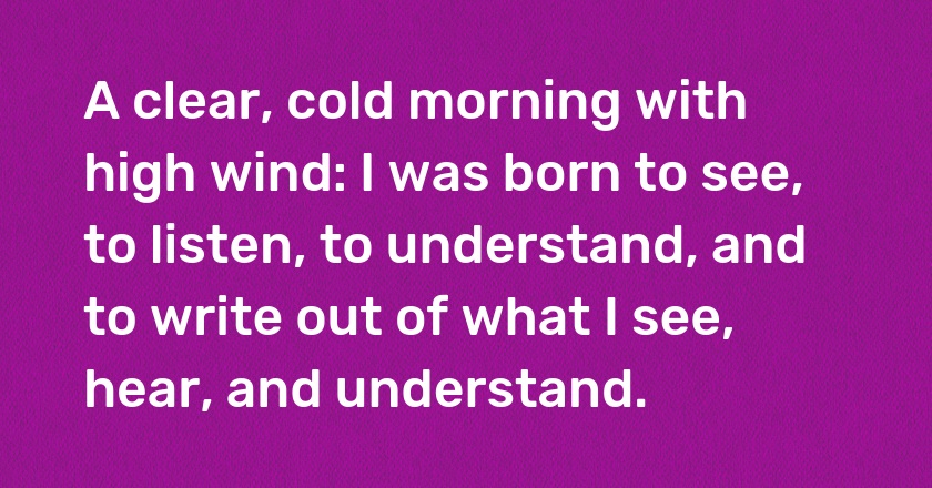 A clear, cold morning with high wind: I was born to see, to listen, to understand, and to write out of what I see, hear, and understand.