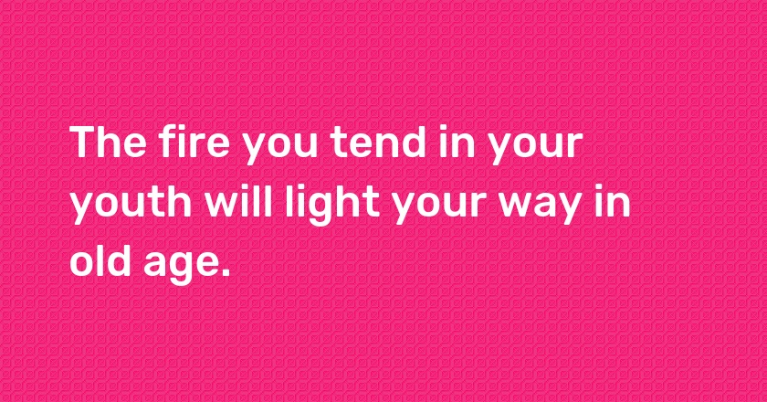 The fire you tend in your youth will light your way in old age.