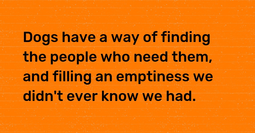 Dogs have a way of finding the people who need them, and filling an emptiness we didn't ever know we had.