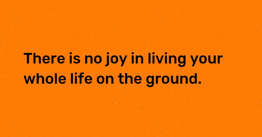 There is no joy in living your whole life on the ground.