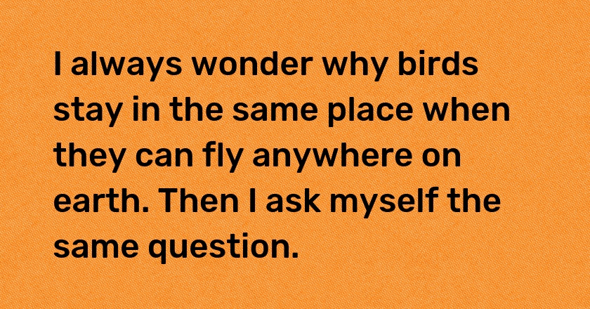 I always wonder why birds stay in the same place when they can fly anywhere on earth. Then I ask myself the same question.