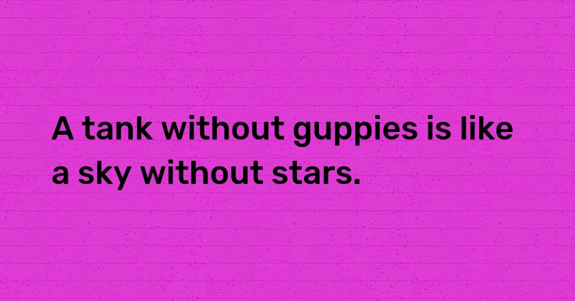 A tank without guppies is like a sky without stars.