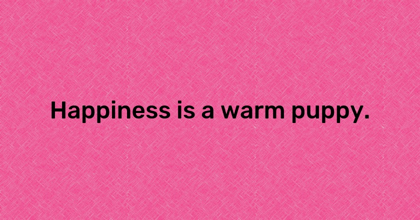 Happiness is a warm puppy.