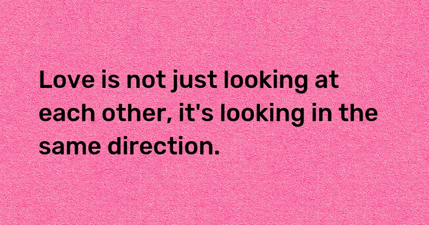 Love is not just looking at each other, it's looking in the same direction.