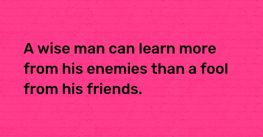 A wise man can learn more from his enemies than a fool from his friends.