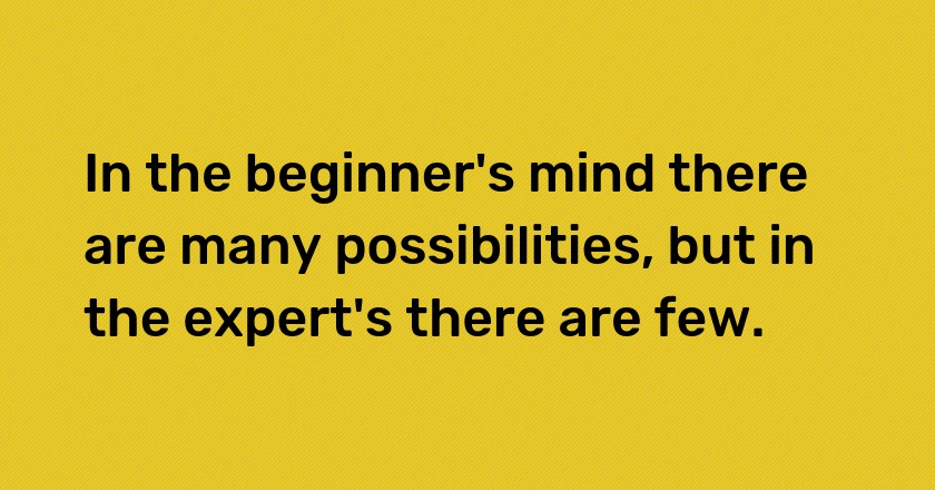 In the beginner's mind there are many possibilities, but in the expert's there are few.