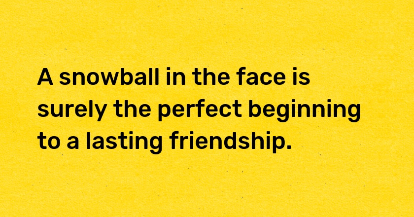 A snowball in the face is surely the perfect beginning to a lasting friendship.