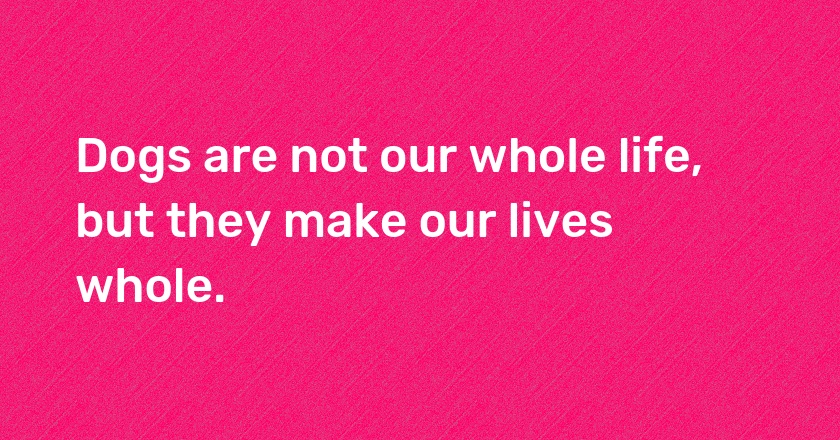 Dogs are not our whole life, but they make our lives whole.