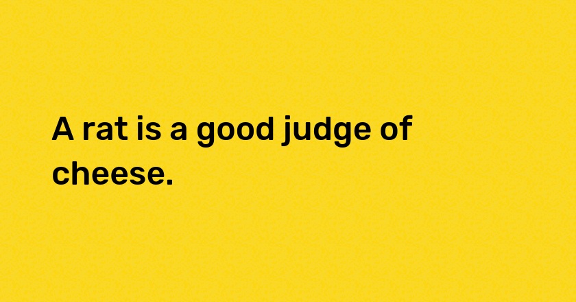 A rat is a good judge of cheese.