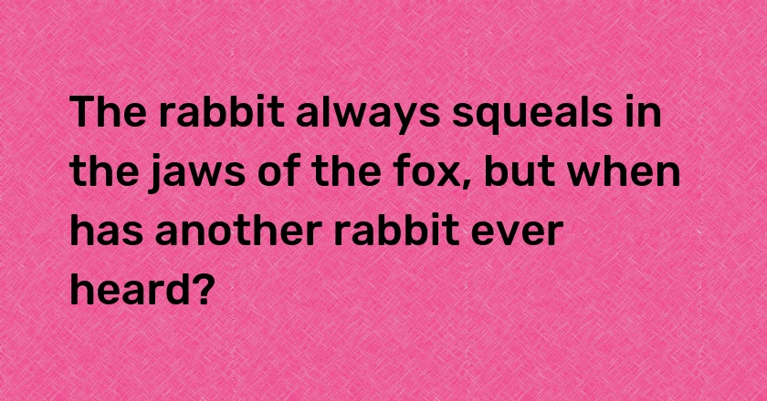 The rabbit always squeals in the jaws of the fox, but when has another rabbit ever heard?