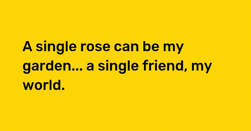 A single rose can be my garden... a single friend, my world.