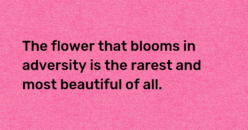 The flower that blooms in adversity is the rarest and most beautiful of all.