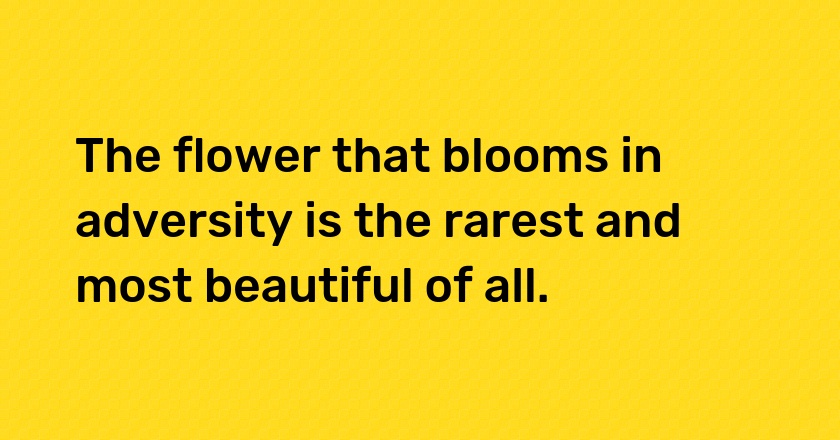 The flower that blooms in adversity is the rarest and most beautiful of all.